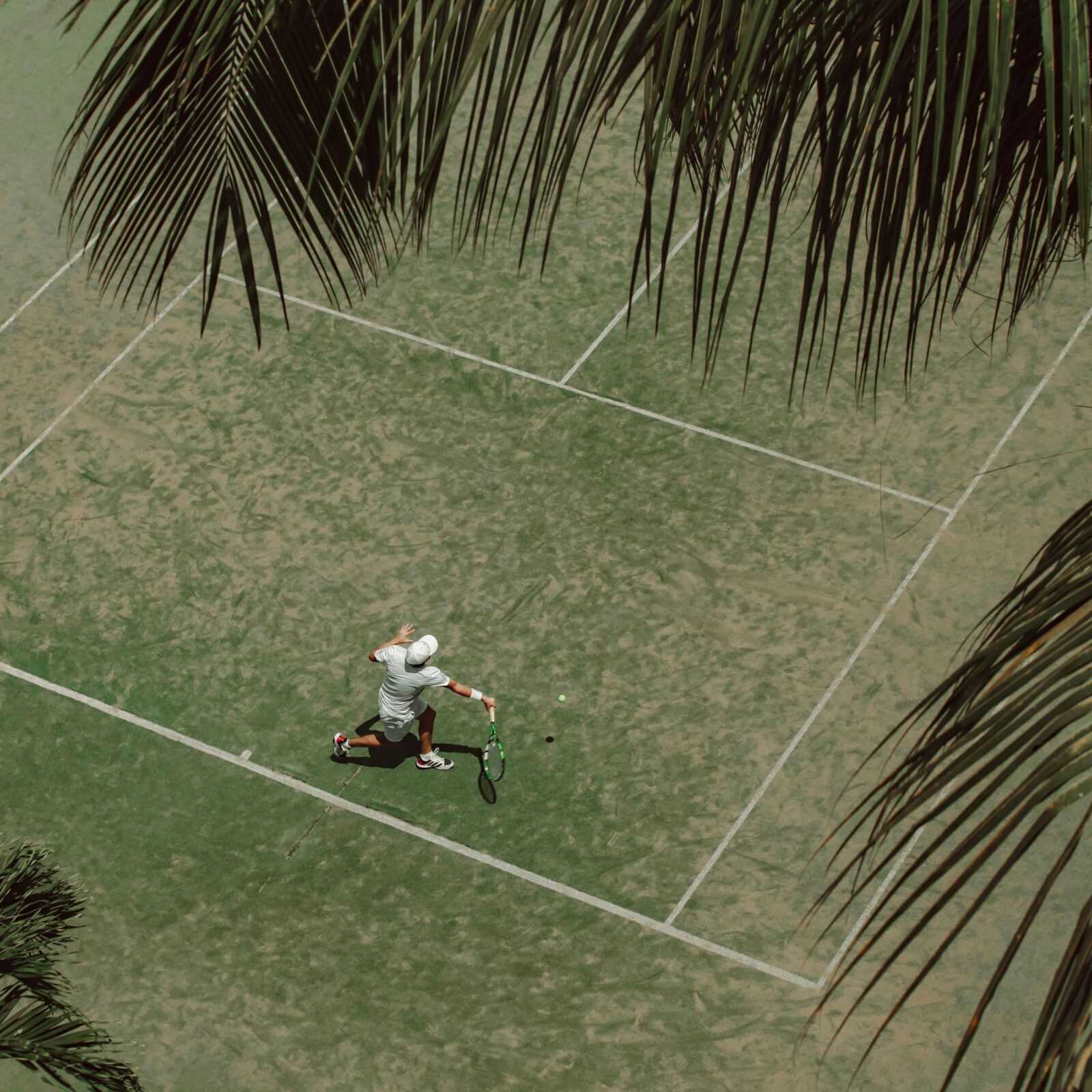 An aerial shot of a tennis player in action on a grass court under palm trees.