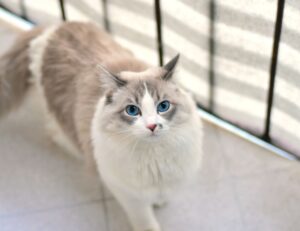 281005050101157lp0pmbxpr