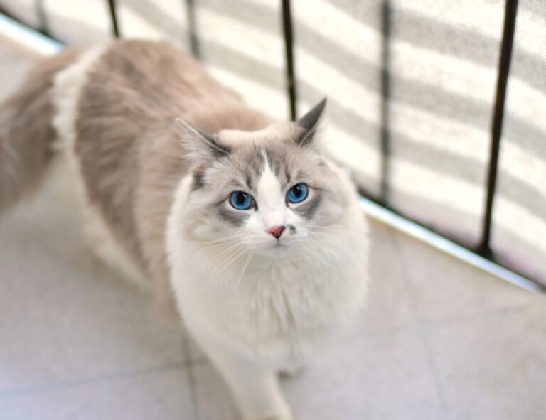 281005050101157lp0pmbxpr