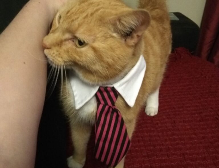 281005050101kczqjrihh6nd