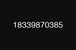 18339870385
