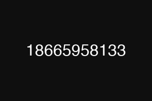 18665958133