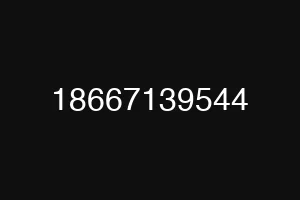 18667139544