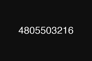 4805503216