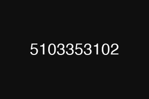 5103353102