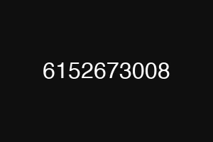 6152673008