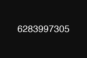 6283997305