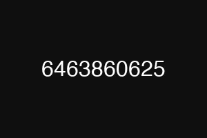 6463860625
