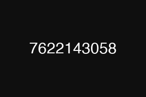 7622143058