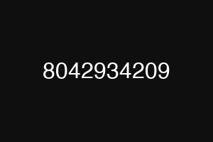 8042934209