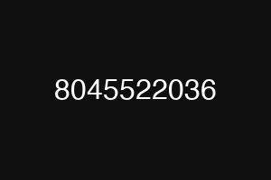 8045522036