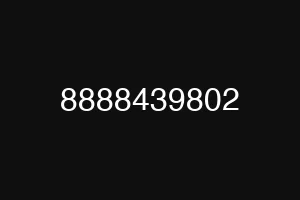 8888439802