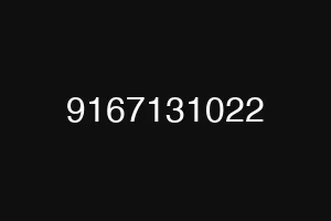 9167131022