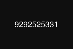 9292525331