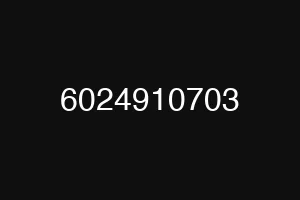 6024910703