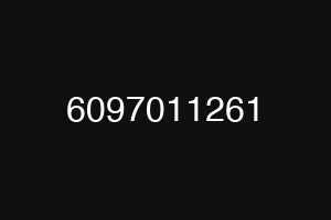 6097011261