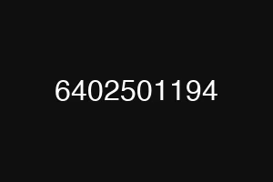 6402501194