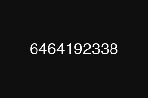 6464192338