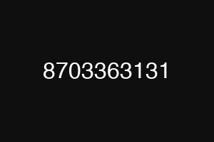 8703363131